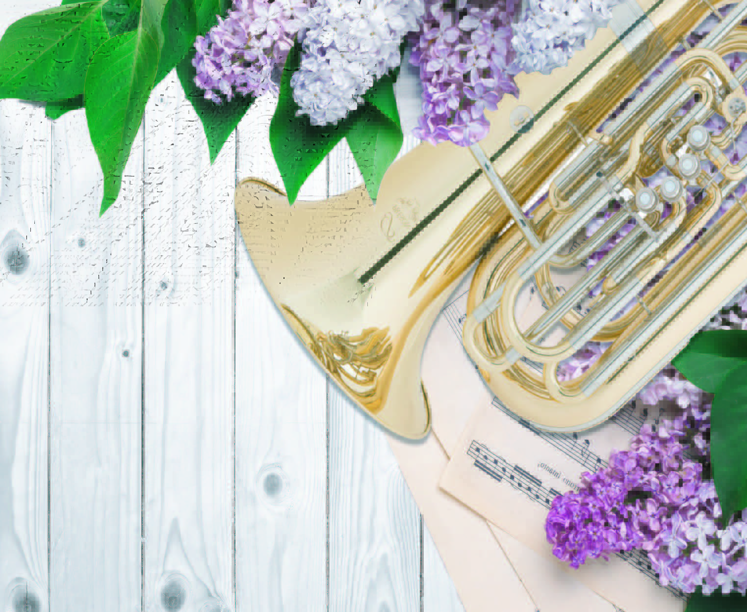 Cartel del evento «Primavera Musical (8º)»